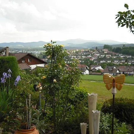 Ferienhaus-holzapfel-haeusl-geiersthal-bei-bodenmais 펜션 *